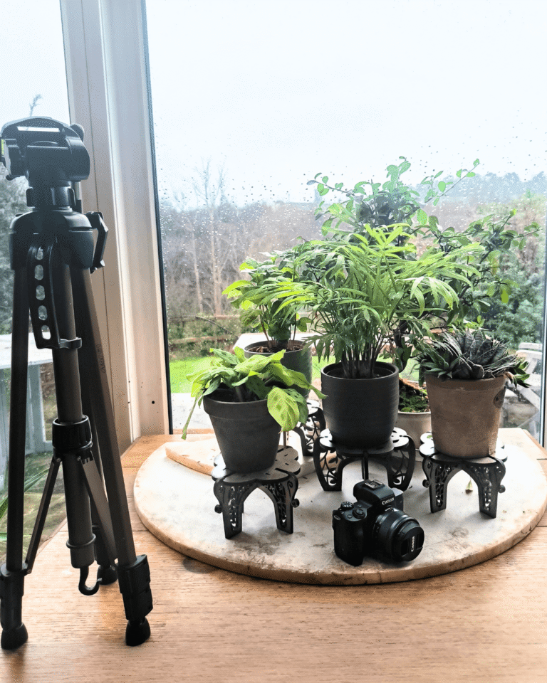 photoshoot-druidsvalley