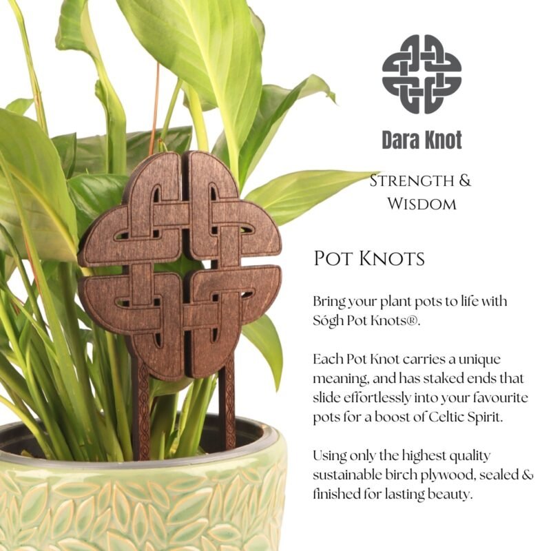 The Dara Knot Pot Knot