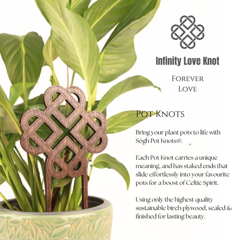 The Infinity Love Knot Pot Knot