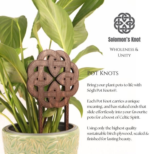 The Solomon's Knot Pot Knot - Image 3