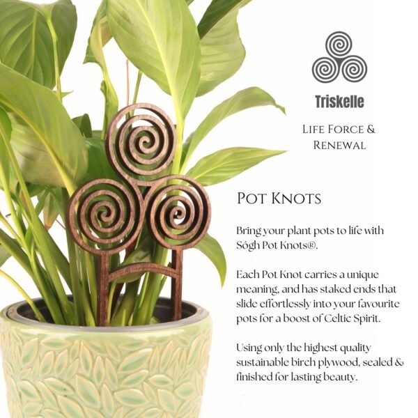 The Triskelle Pot Knot - Image 2