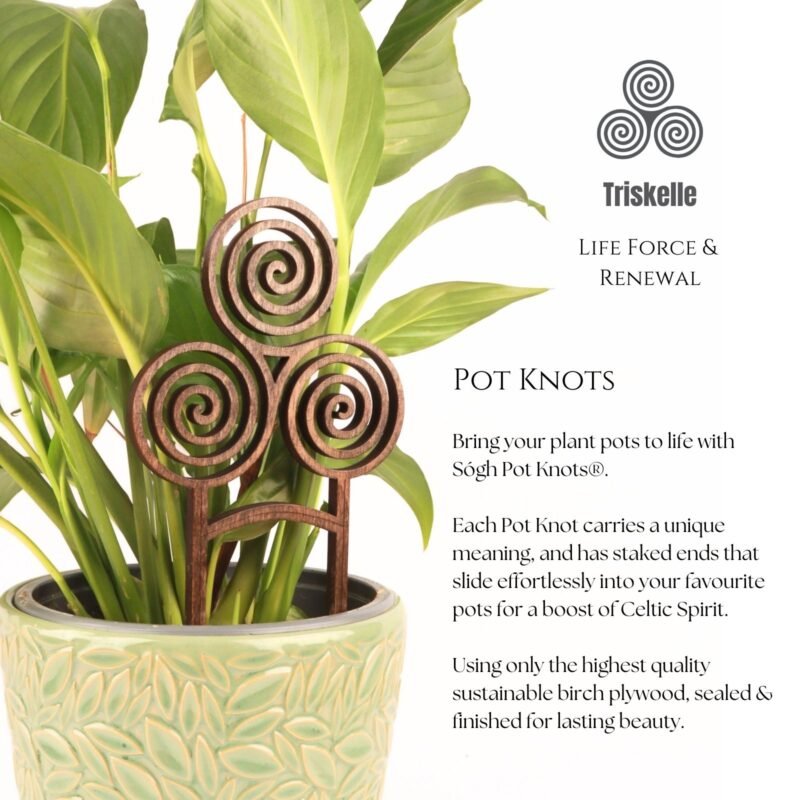 The Triskelle Pot Knot